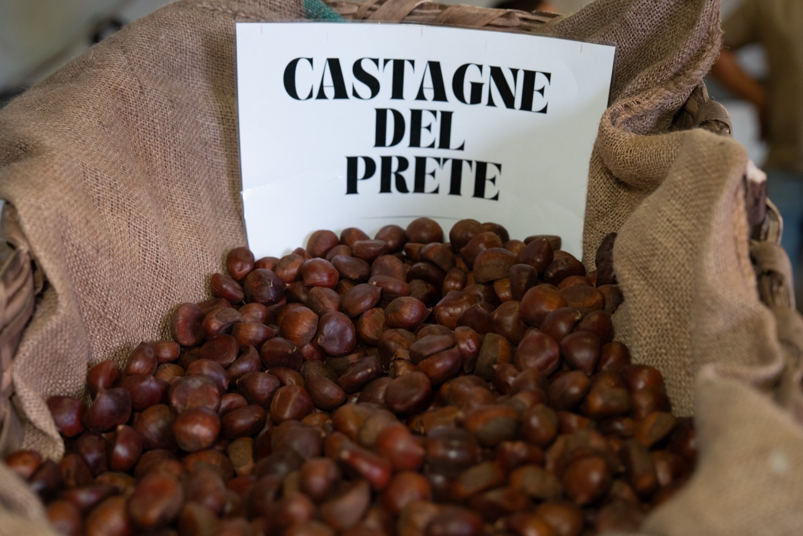 Festa della Nocciola 2025