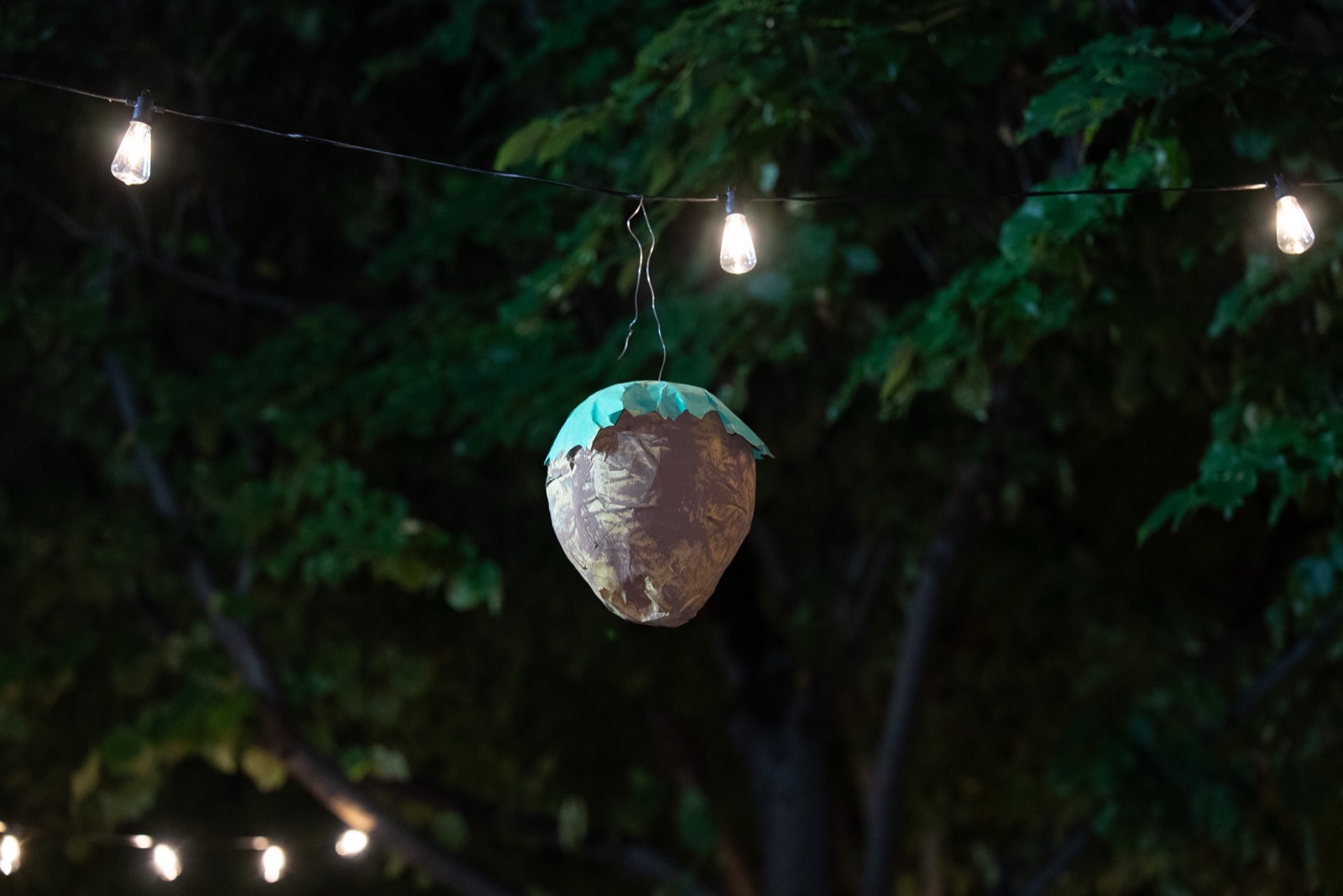 Festa della Nocciola 2025